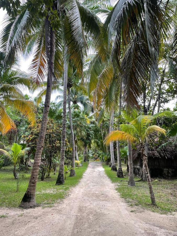 Willa Casa Zaba Tulum Zewnętrze zdjęcie